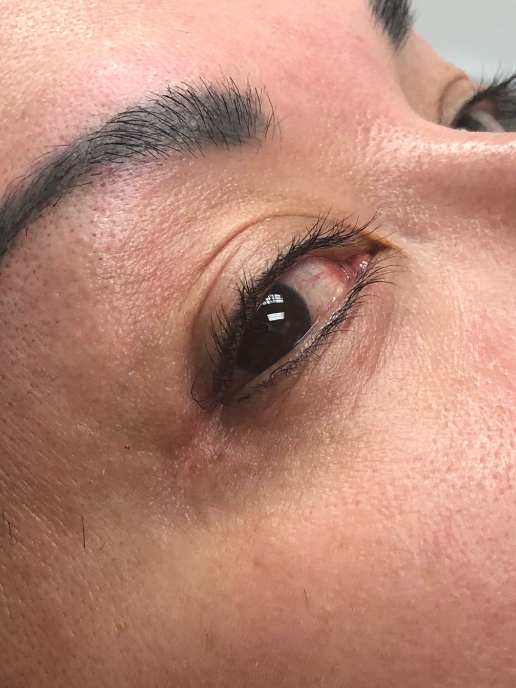 Luxury Waxing Studio In Denver CO Vagaro